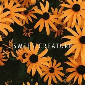 Meet your Posher, Emmie